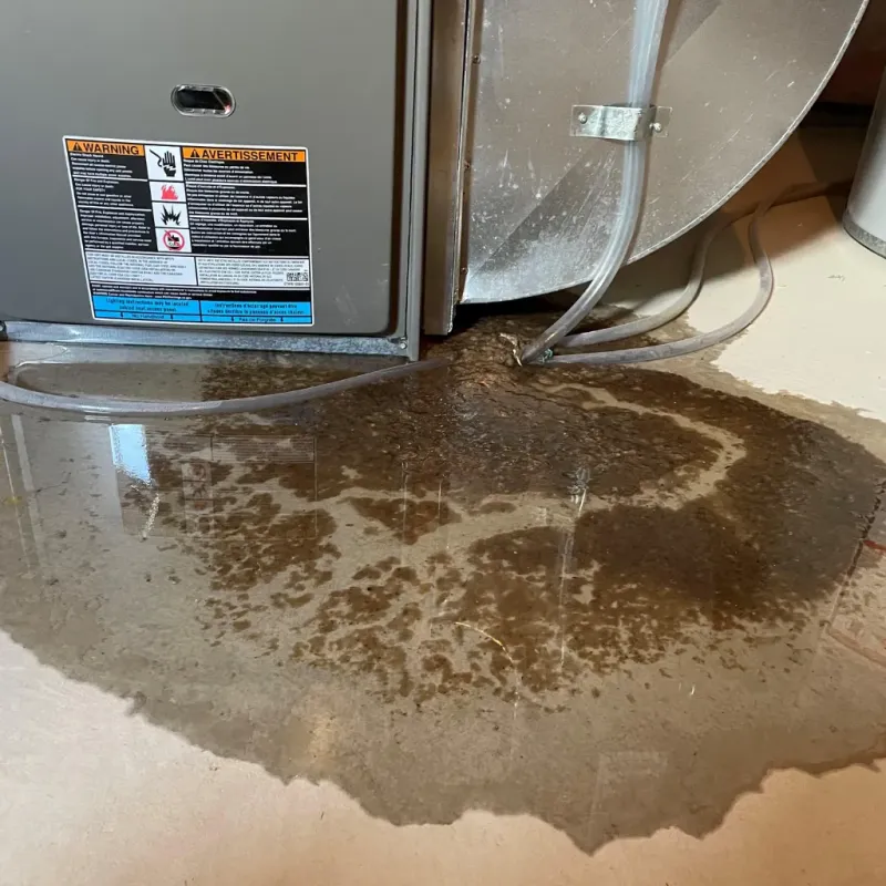 Appliance Leak Cleanup in Cottonwood, CA